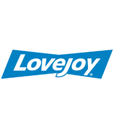 Lovejoy 6213ZZ 1 Row 2 Shield Bearing