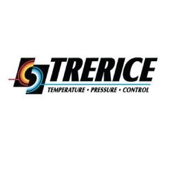 Trerice 691B3502BA140 3.5 0-300Psi Pressure Gauge